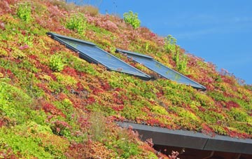 Acle living roof systems